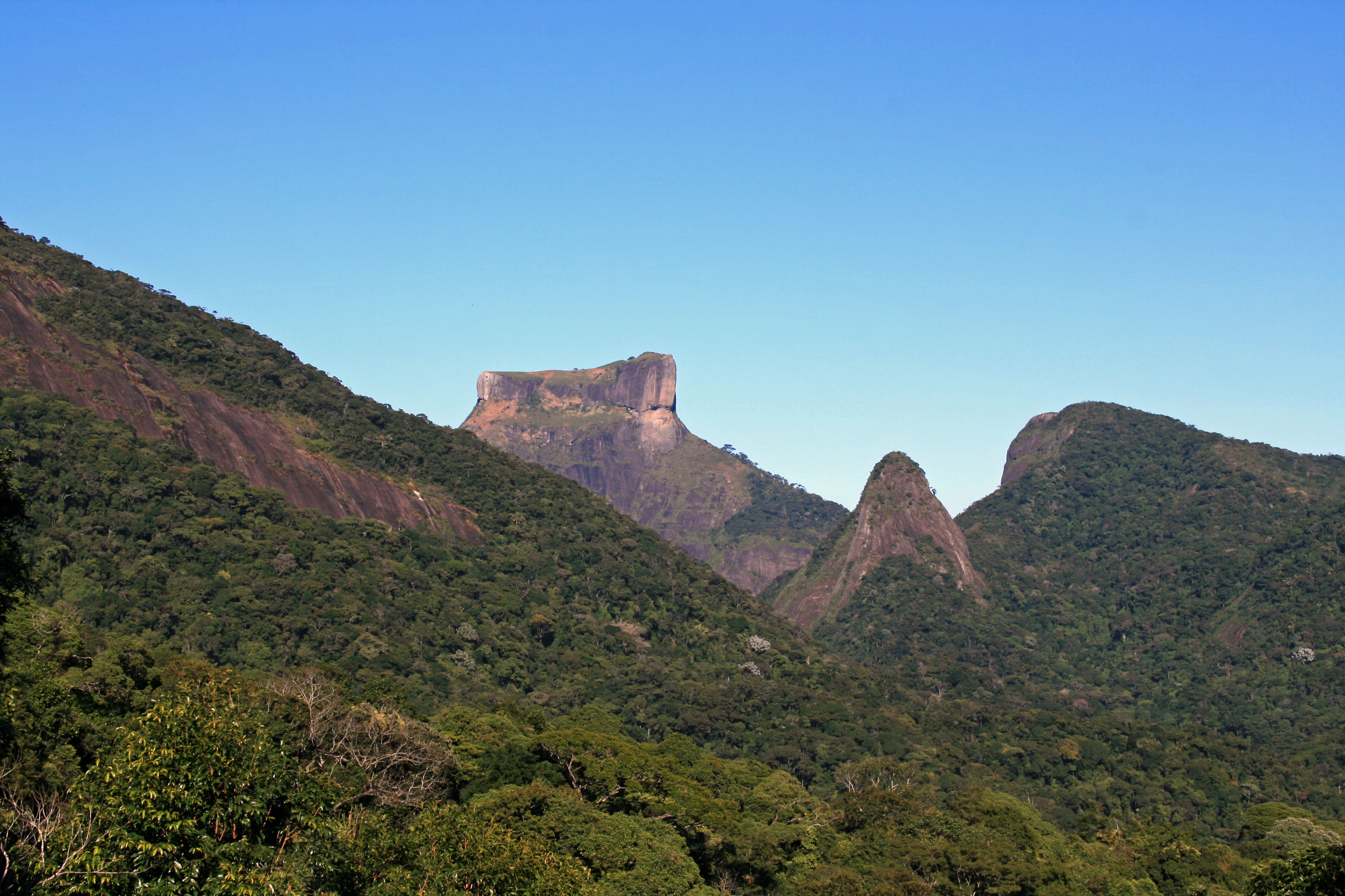Understanding Tijuca National Park Before You Visit